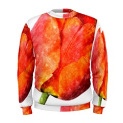 Red Tulip, Watercolor Art Men s Sweatshirt by picsaspassion