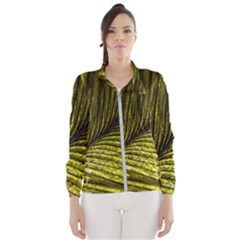 Feather Macro Bird Plumage Nature Windbreaker (women) by Wegoenart