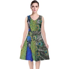 Peacock Close Up Plumage Bird Head V-neck Midi Sleeveless Dress  by Wegoenart