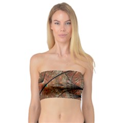 Fractals Artistic Digital Design Bandeau Top by Wegoenart