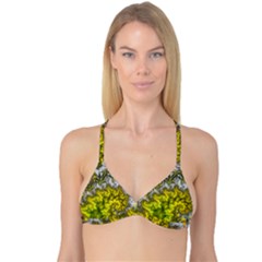 Fractal Mobius Dragon Marijuana Reversible Tri Bikini Top by Wegoenart