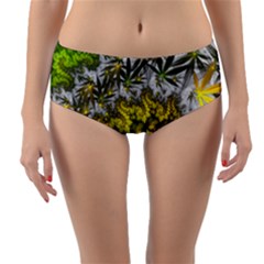 Fractal Mobius Dragon Marijuana Reversible Mid-waist Bikini Bottoms by Wegoenart