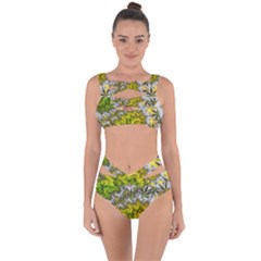 Fractal Mobius Dragon Marijuana Bandaged Up Bikini Set  by Wegoenart