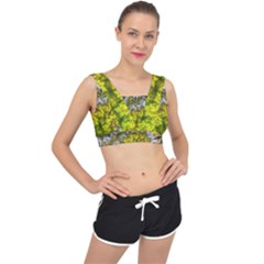 Fractal Mobius Dragon Marijuana V-back Sports Bra by Wegoenart