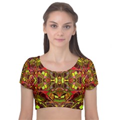 Abstract #8   I   Autumn 6000 Velvet Short Sleeve Crop Top 