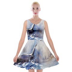 Art Painting Sea Storm Seagull Velvet Skater Dress by Pakrebo