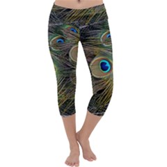 Peacock Tail Feathers Close Up Capri Yoga Leggings by Pakrebo