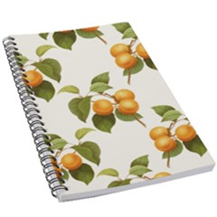 Apricot Fruit Vintage Art 5 5  X 8 5  Notebook by Pakrebo