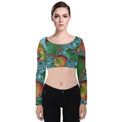 Fractal Art Colorful Pattern Velvet Long Sleeve Crop Top