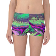 Clienmapcoat Reversible Boyleg Bikini Bottoms by PurpleDuckyDesigns