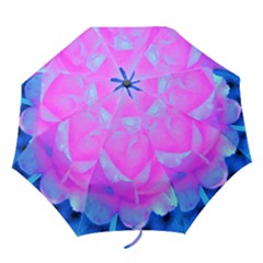 Beautiful Pastel Pink Rose With Blue Background Folding Umbrellas by myrubiogarden