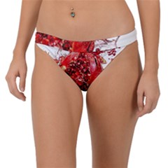 Red Pomegranate Fried Fruit Juice Band Bikini Bottom by Mariart