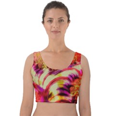 Fractal Mandelbrot Art Wallpaper Velvet Crop Top