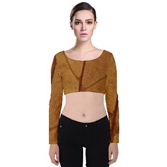 Leaf Fall Foliage Nature Orange Velvet Long Sleeve Crop Top