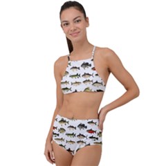 Ml 71 Fish Of North America High Waist Tankini Set by ArtworkByPatrick