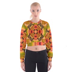 Fractals Graphic Fantasy Colorful Cropped Sweatshirt by Pakrebo