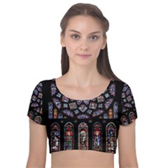 Rosette Cathedral Velvet Short Sleeve Crop Top 