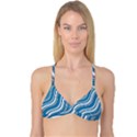 Blue Wave Surges On Reversible Tri Bikini Top View1