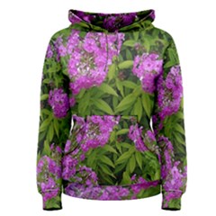 Stratford Garden Phlox Women s Pullover Hoodie by Riverwoman