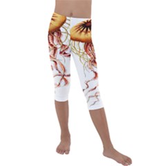 Animal Art Forms In Nature Jellyfish Kids  Lightweight Velour Capri Leggings 