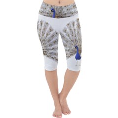 Peacock Colorful Bird Feather Blue Lightweight Velour Cropped Yoga Leggings