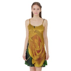 Yellow Rose Satin Night Slip