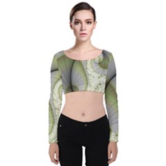 Graphic Fractal Eddy Curlicue Leaf Velvet Long Sleeve Crop Top