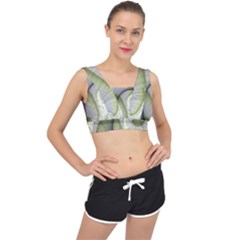 Graphic Fractal Eddy Curlicue Leaf V-back Sports Bra