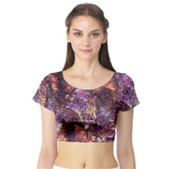 Colorful Rusty Abstract Print Short Sleeve Crop Top by dflcprintsclothing