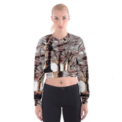 Autumn Fractal Forest Background Cropped Sweatshirt