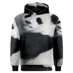 Panda Bear Sleeping Men s Overhead Hoodie by Sudhe