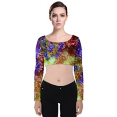 Splashes Of Color Background Velvet Long Sleeve Crop Top by Sudhe