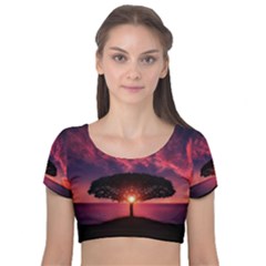 Flight Landscape Nature Sky Velvet Short Sleeve Crop Top 