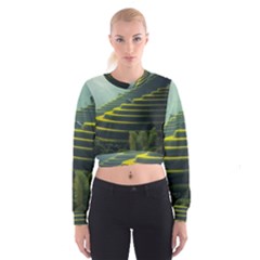 Scenic View Of Rice Paddy Cropped Sweatshirt by Sudhe