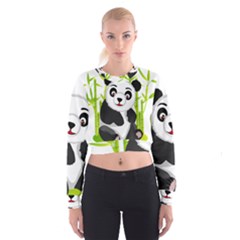 Giant Panda Bear Cropped Sweatshirt by Sudhe