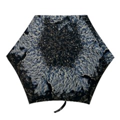 Asphalt Road  Mini Folding Umbrellas by rsooll