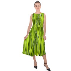 Agricultural Field   Midi Tie-back Chiffon Dress