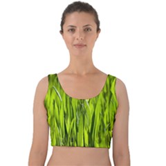 Agricultural Field   Velvet Crop Top