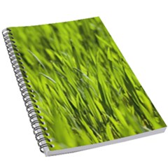 Agricultural Field   5 5  X 8 5  Notebook by rsooll