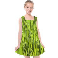 Agricultural Field   Kids  Cross Back Dress