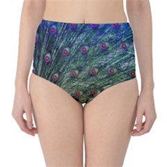 Peacock Feathers Colorful Feather Classic High-waist Bikini Bottoms by Pakrebo