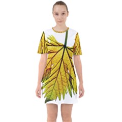 Leaf Grape Vine Sunlight Garden Sixties Short Sleeve Mini Dress