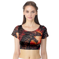 Dragon Short Sleeve Crop Top by Sudhe