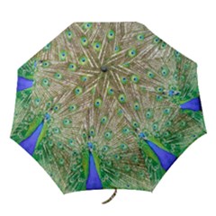 Peacock Color Bird Colorful Folding Umbrellas by Pakrebo