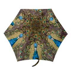 Peacock Feather Peacock Feather Mini Folding Umbrellas