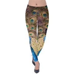 Peacock Feather Peacock Feather Velvet Leggings by Pakrebo