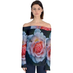 Favorite Rose  Off Shoulder Long Sleeve Top