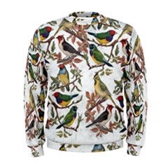 Vintage Birds Men s Sweatshirt by Valentinaart