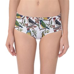 Vintage Birds Mid-waist Bikini Bottoms
