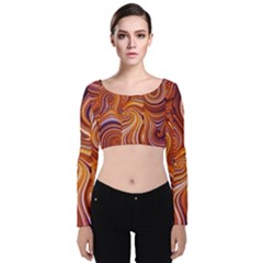 Electric Field Art Liii Velvet Long Sleeve Crop Top